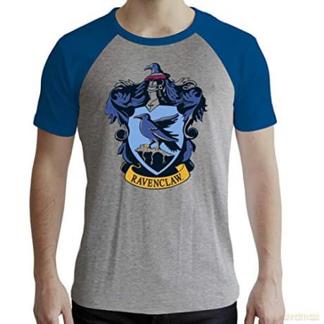 HARRY POTTER T-shirt Ravenclaw man SS grey & blue premium XXL