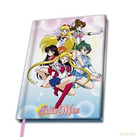 SAILOR MOON A5 Notes Sailor warriors