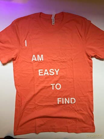 The National: I Am Easy To Find