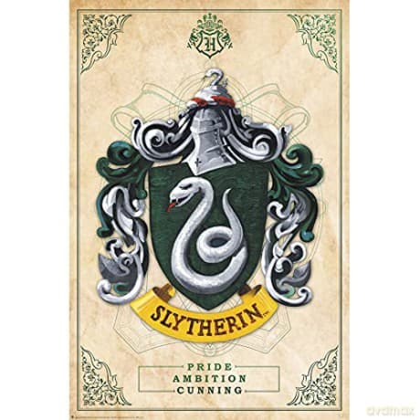 HARRY POTTER Slytherin Plakat (91.5x61)