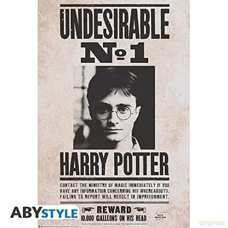 HARRY POTTER Undesirable Plakat (91.5x61)