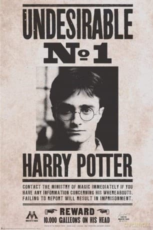 HARRY POTTER Undesirable Plakat (91.5x61)