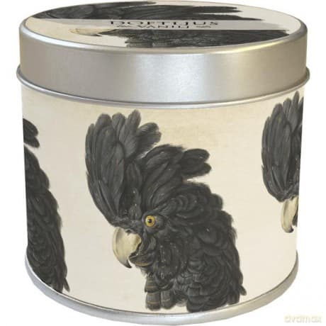 Zapachowa świeczka 161 - kakadu - zapach waniliowy