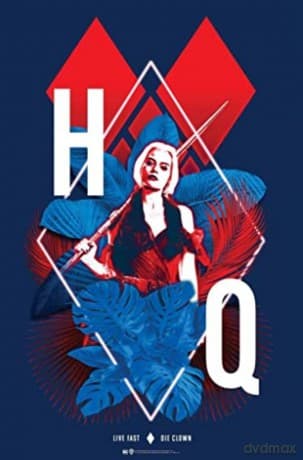 DC COMICS - Poster the fabulous Harley Quinn (91.5x61)