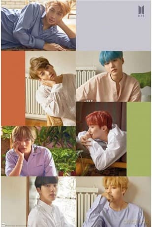 BTS Plakat (91.5x61)