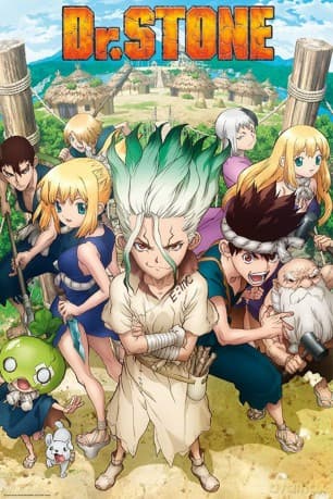 DR STONE Groupe Plakat (91.5x61)