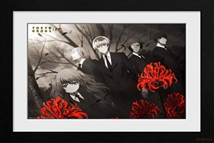 TOKYO GHOUL: RE - Framed poster Red Flowers (30x40)