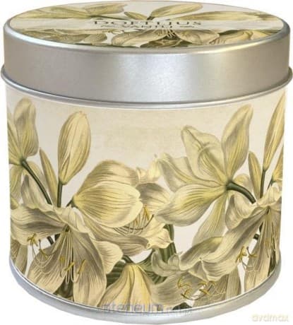 Zapachowa świeczka 173 - amarylis - waniliowa