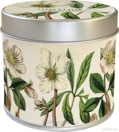 Zapachowa świeczka 174 - ciemiernik - waniliowa