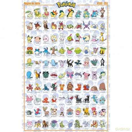 POKEMON - plakat Johto French (91.5x61)