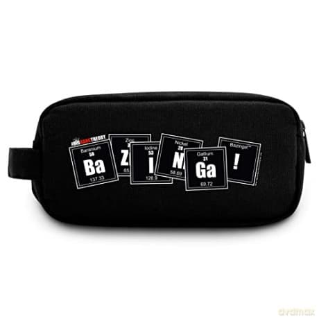 THE BIG BANG THEORY - Case - Bazinga