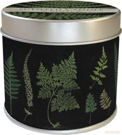 Zapachowa świeczka 98 - paproć - zapach lasu