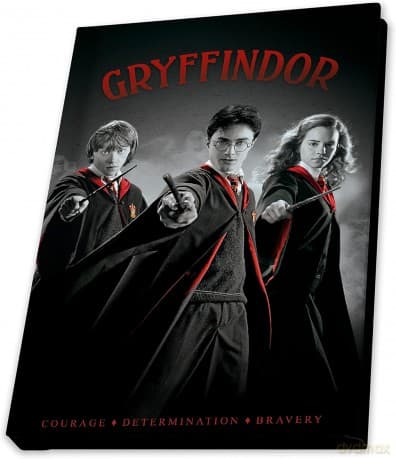 HARRY POTTER - Pck Kubek 320ml + Keychain + Notebook Harry Ron Hermione