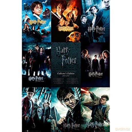 HARRY POTTER - Plakat Collection (91.5x61)