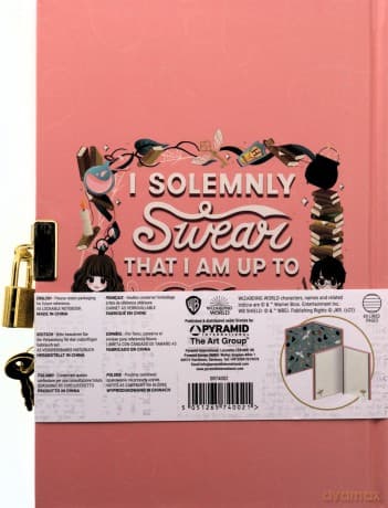 HARRY POTTER (STAND TOGETHER) A5 PREMIUM LOCKABLE NOTEBOOK / notatnik zamykany A5 premium Harry Potter - STAND TOGETHER