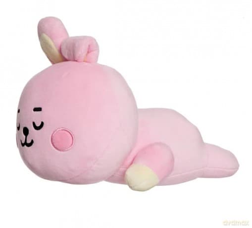 BT21 Cooky Baby Mini Pillow Cushion