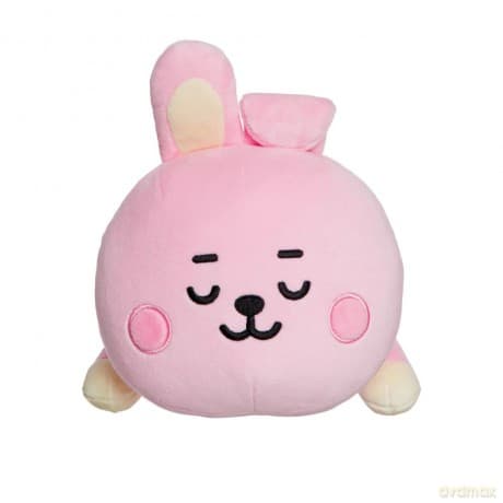 BT21 Cooky Baby Mini Pillow Cushion