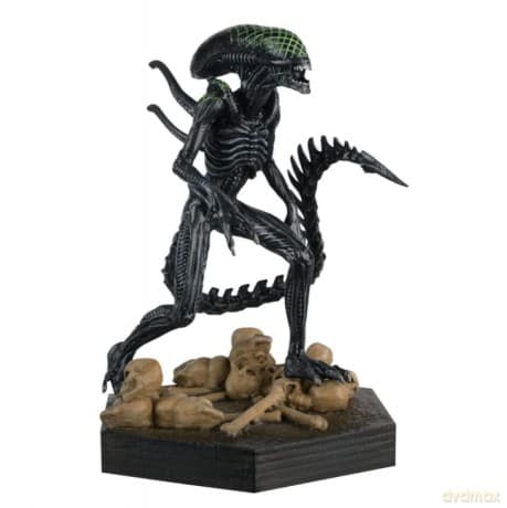 Xenomorph Grid (Alien V Predator) Figurine Movie Collection