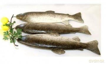 Woreczek Foliowy: Cd & Digi