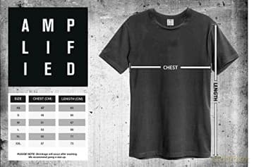 Foo Fighters: Foo Fighters Camper Van Amplified Vintage White Medium T Shirt