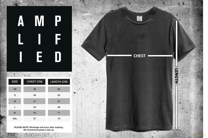 Foo Fighters: Foo Fighters Camper Van Amplified Vintage White Small T Shirt