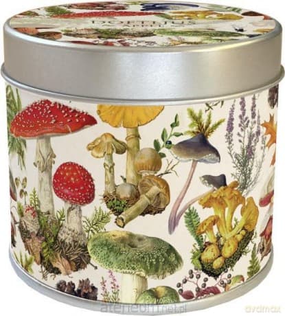 Zapachowa świeczka ozdobna 217 las grzybów jabłko