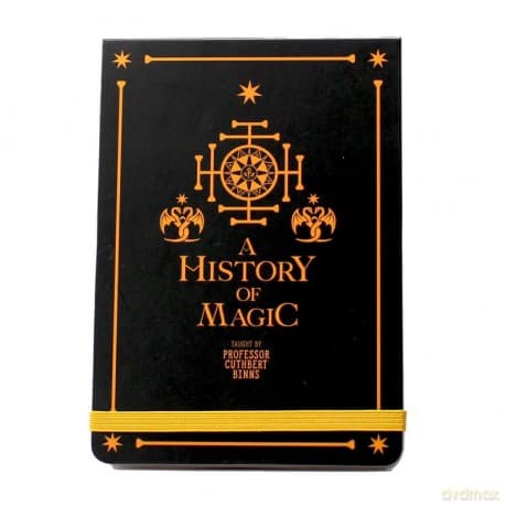 Harry Potter: Pocket Notebook - Harry Potter (History Of Magic)
