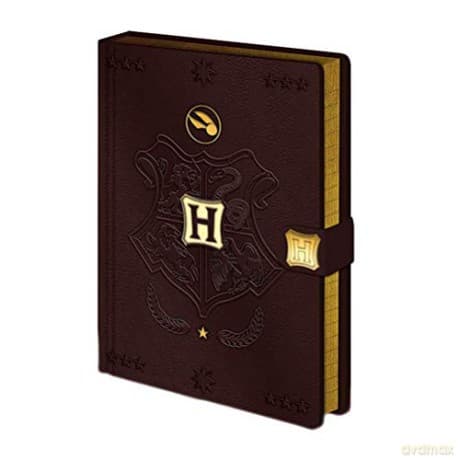 HARRY POTTER (QUIDDITCH) A5 PREMIUM NOTEBOOK / notatnik A5 premium HARRY POTTER - QUIDDITCH