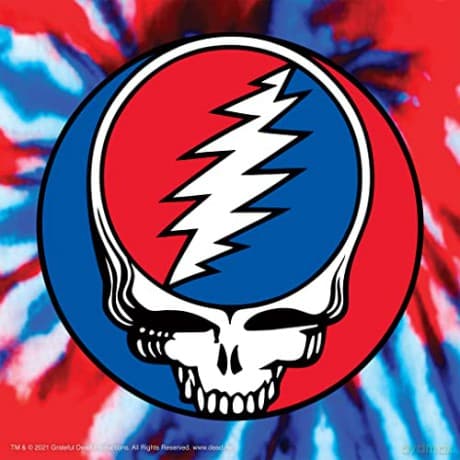 Grateful Dead: Grateful Dead- Dancing Bear (Stealie Red) Reaction Figure