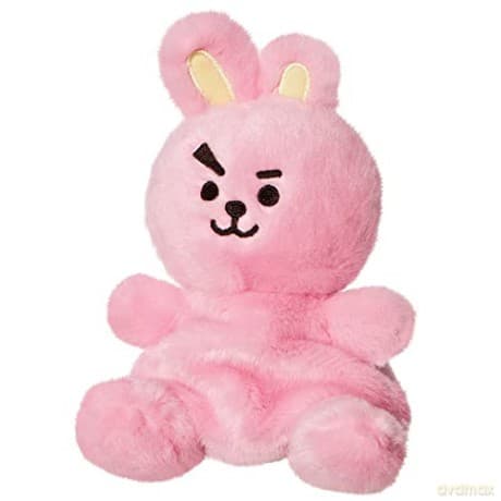 Bt21: Bt21 Cooky Palm Pal 5In