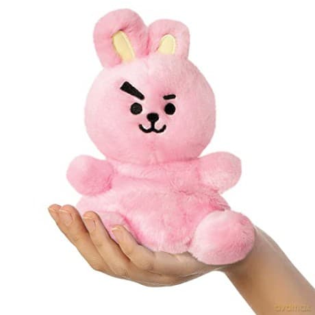 Bt21: Bt21 Cooky Palm Pal 5In