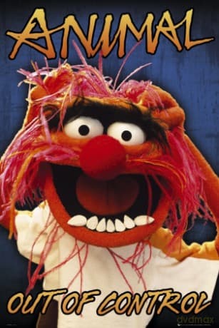 The Muppets Animal [PLAKAT]