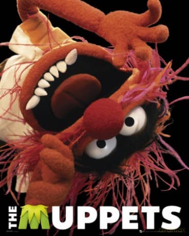 The Muppets Animal [PLAKAT]