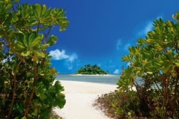 Tropikalna Wyspa [PLAKAT]