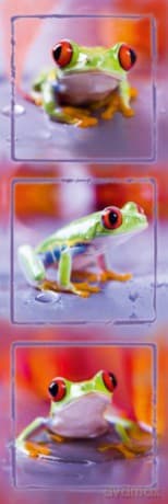 Trzy Żabki [PLAKAT]