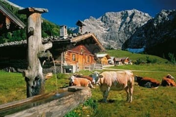 Tyrol, Austria [PLAKAT]