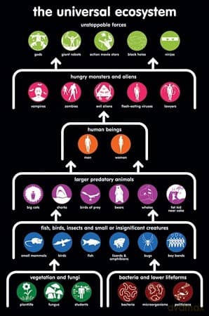 Universal Ecosystem [PLAKAT]