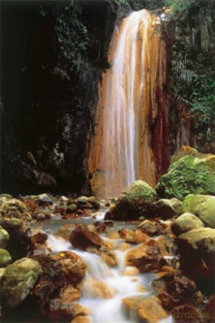 Wodospad W Lesie [PLAKAT]