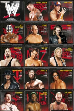 Wwe - Stats [PLAKAT]