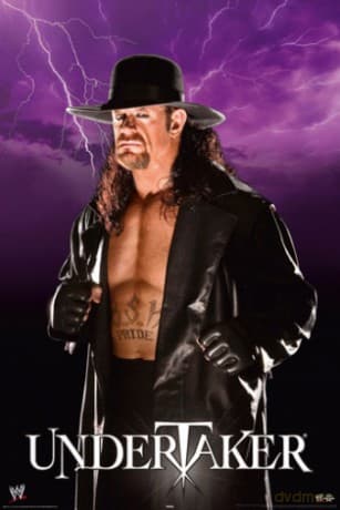 Wwe - Undertaker Lightning [PLAKAT]