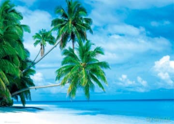 Wyspa Fihalhohi [PLAKAT]