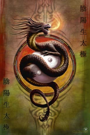 Yin Yang Protector [PLAKAT]