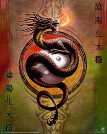 Yin Yang Protector Ii [PLAKAT]