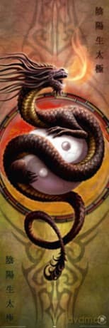 Yin Yang Protector Iii [PLAKAT]