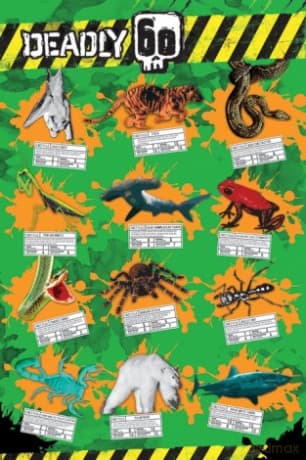 Zabójcze Zwierzęta (Animals) [PLAKAT]