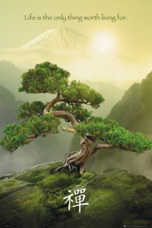 Zen - Wielkie Drzewo [PLAKAT]