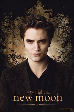 Zmierzch New Moon (Edward Trees) [PLAKAT]