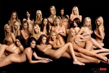 Zoo (Kobiety Marzeń) [PLAKAT]