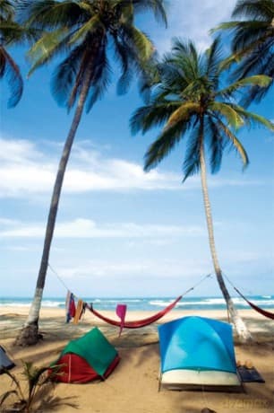 Życie Na Plaży [PLAKAT]