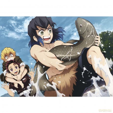 DEMON SLAYER - Portfolio 9 posters Season 1 (219,7)